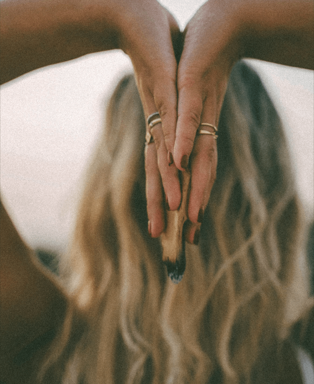 Alchemist & Co. with Energy Alchemy