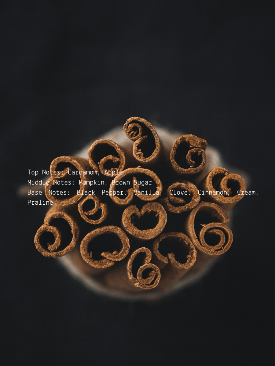 Pumpkin Clove + Brown Sugar Fall Wellness Candle