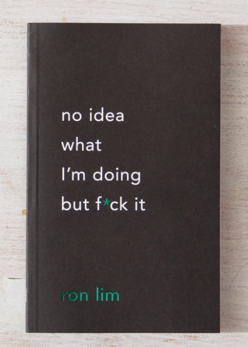 No Idea What I'm Doing But F*ck It - book