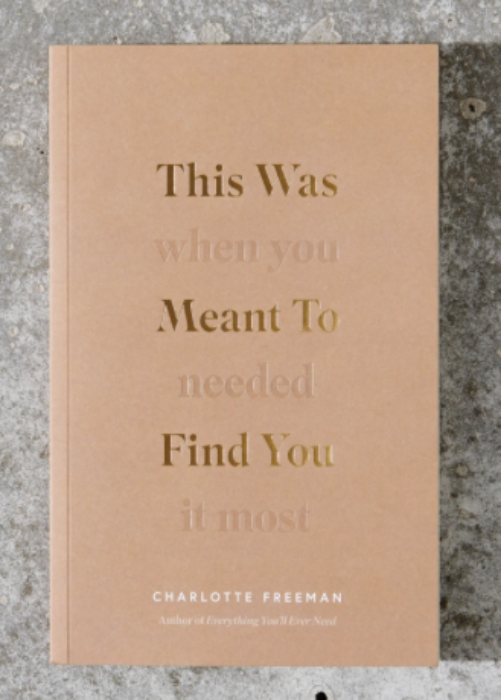 This Was Meant To Find You (When You Needed It Most) - book