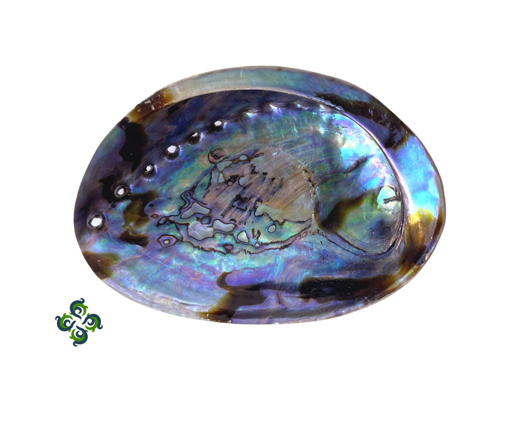 Abalone Shells, Smudge Bowls, 4.75 - 6 Inches, New Zealand