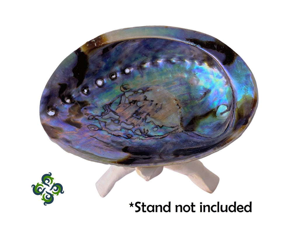 Abalone Shells, Smudge Bowls, 4.75 - 6 Inches, New Zealand