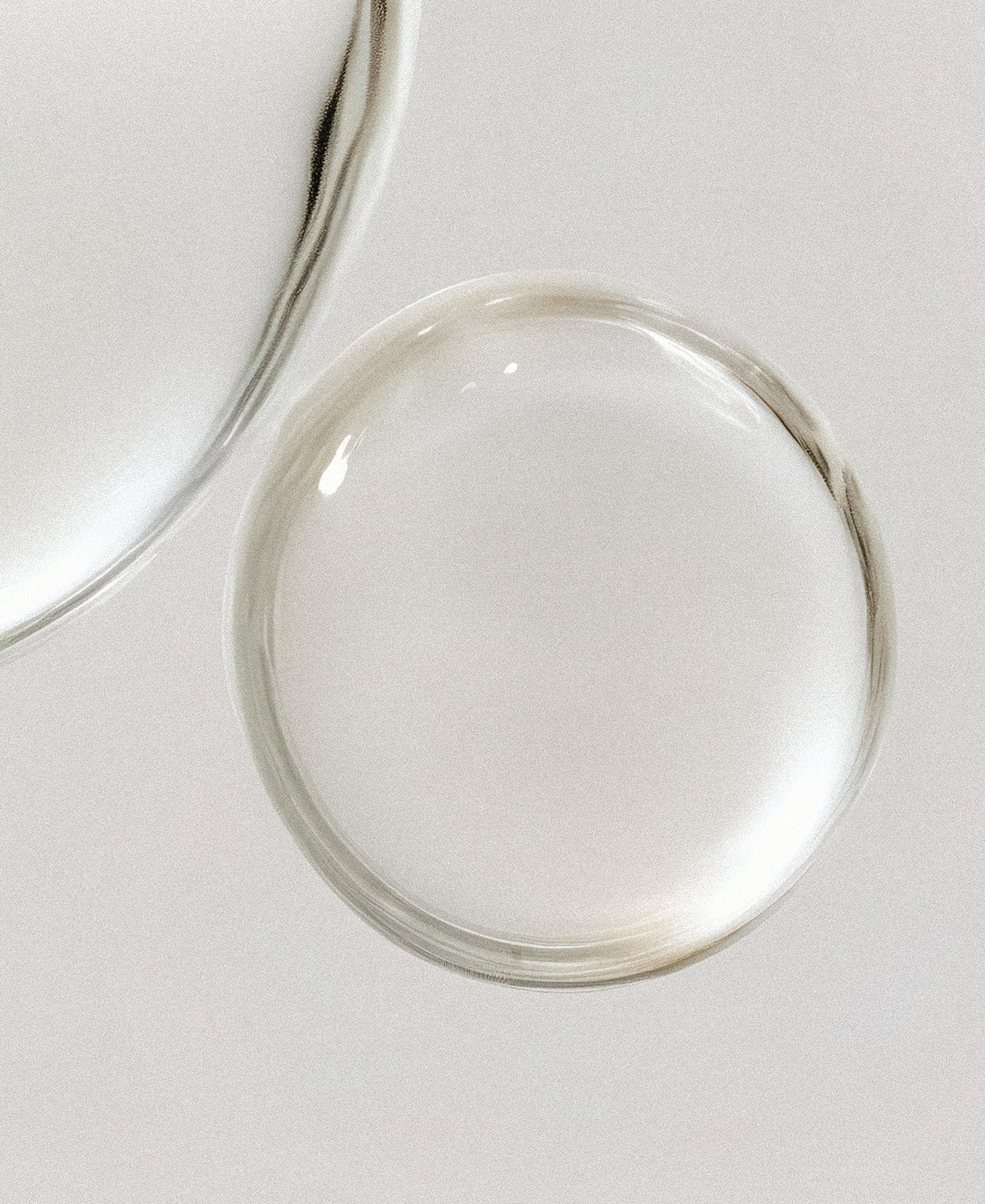 Crown of Success Oil