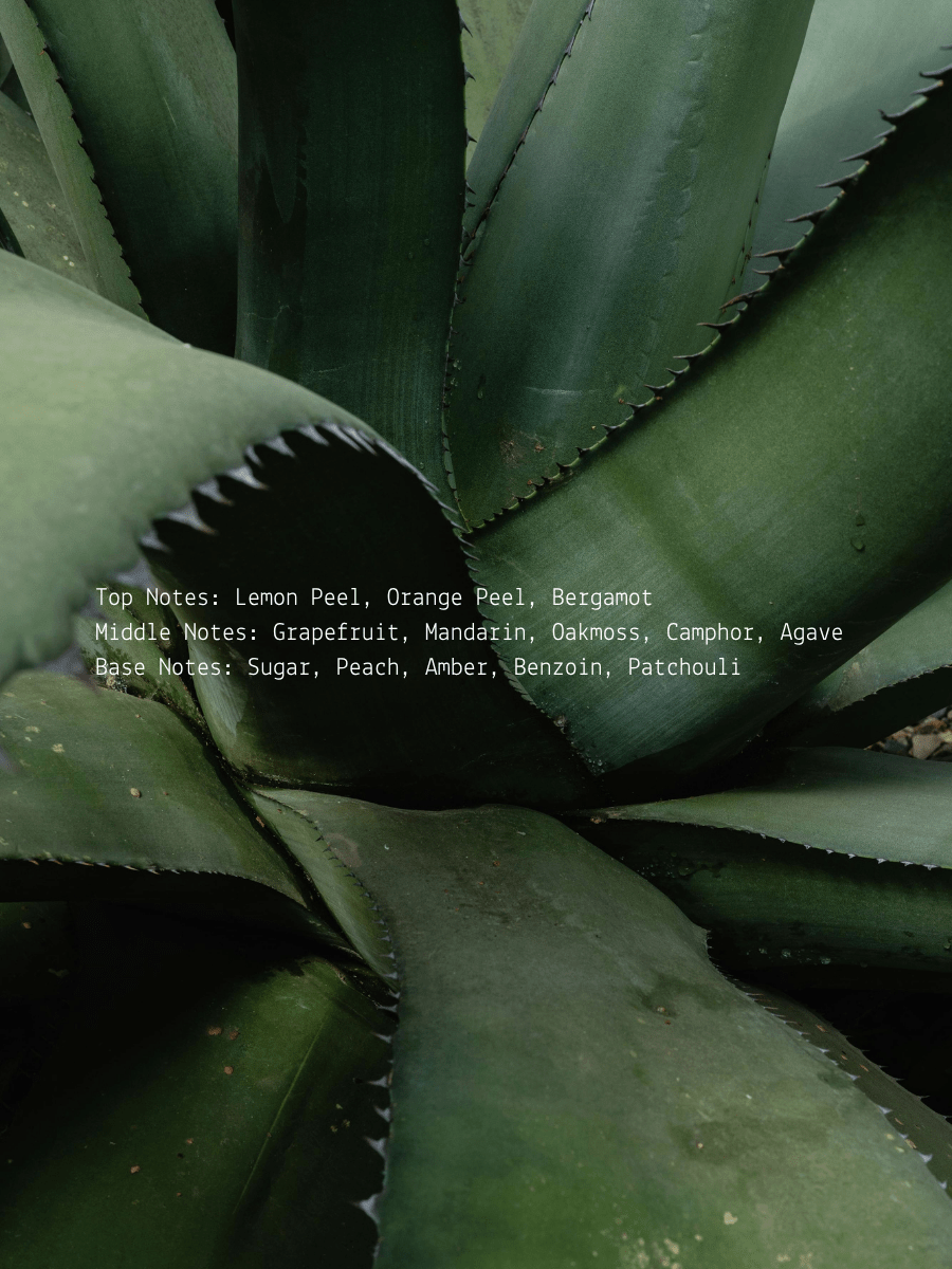 Gratitude Ritual Candle