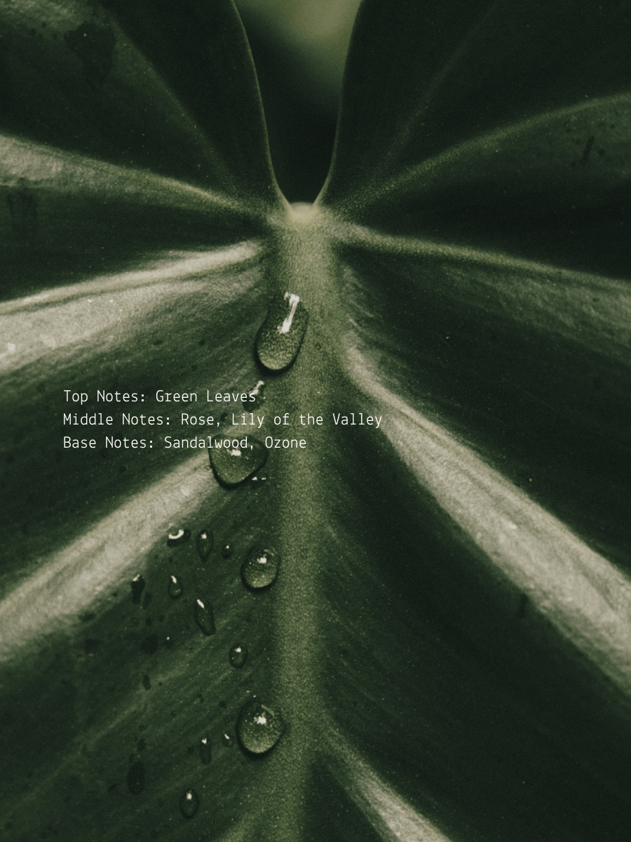 Ayahuasca Ritual Candle