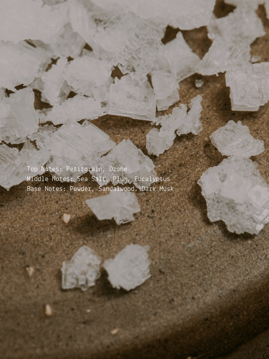 Sea Salt Plum + Dark Musk Full Moon Wellness Candle