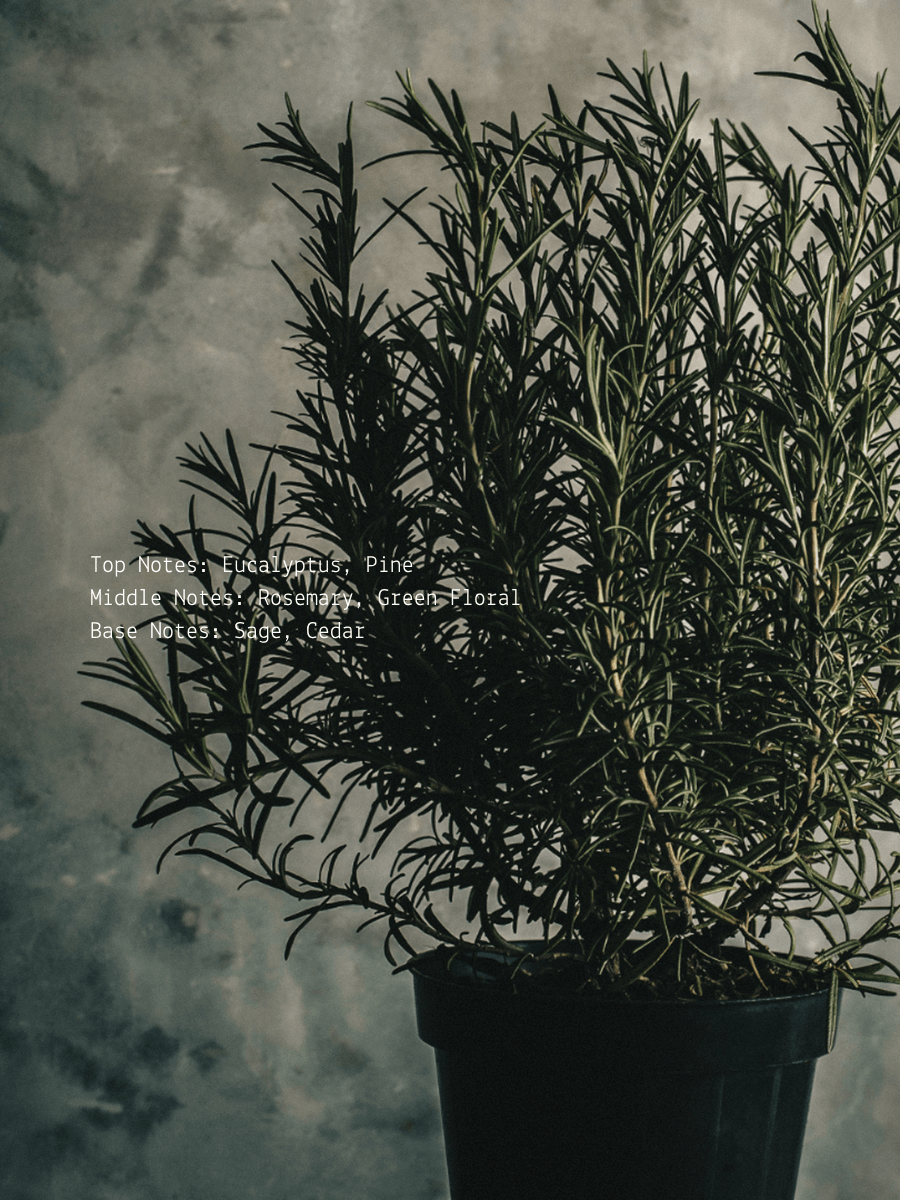 Protection Ritual Candle