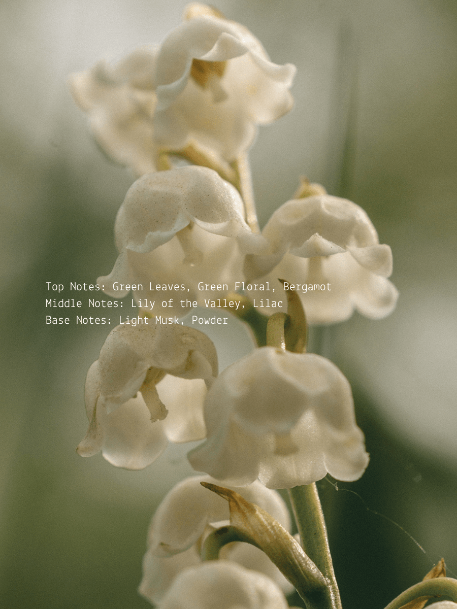 Green Floral + Lilac Musk Lily of the Valley Wellness Candle